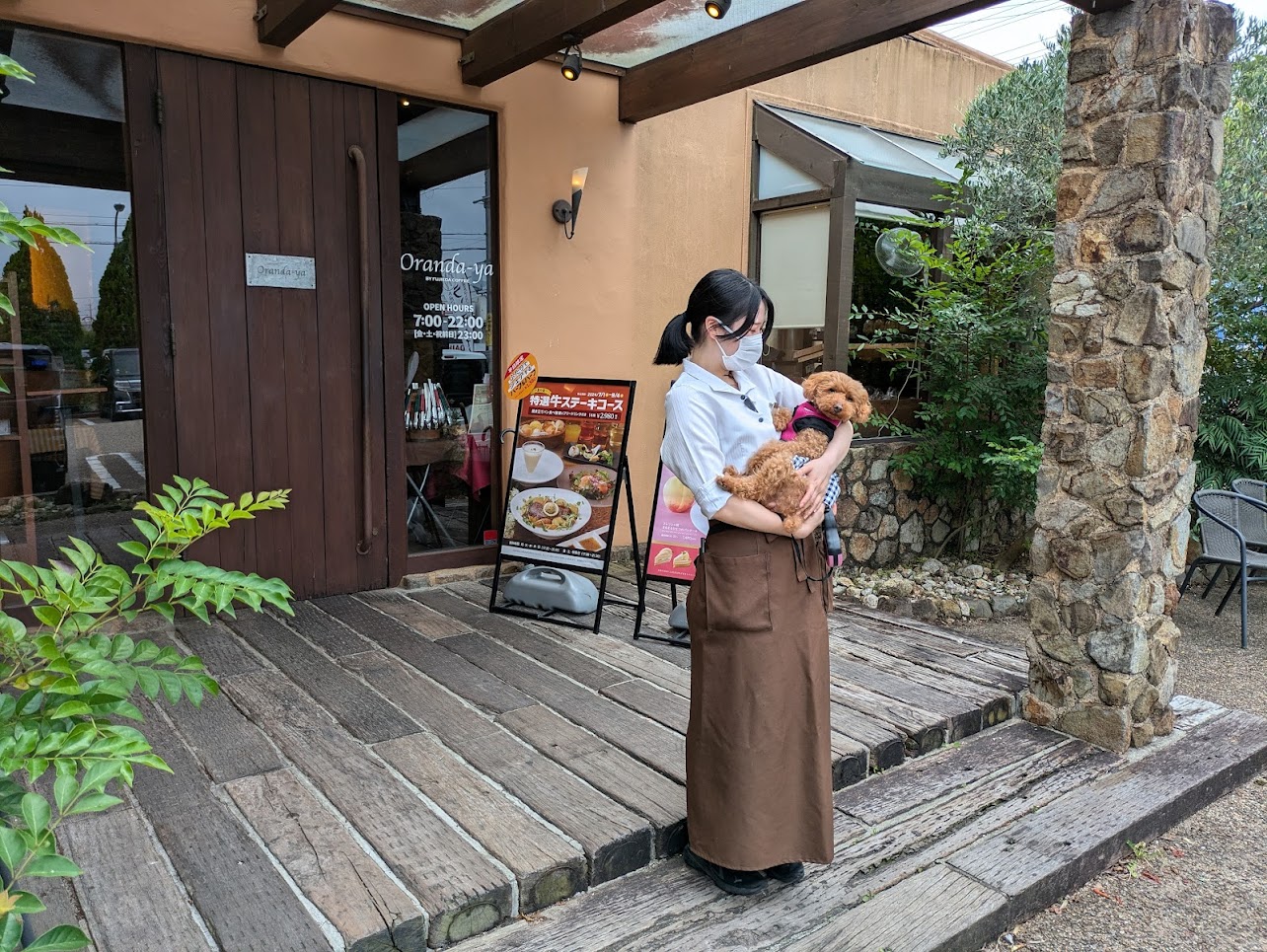 オランダ屋 高田店