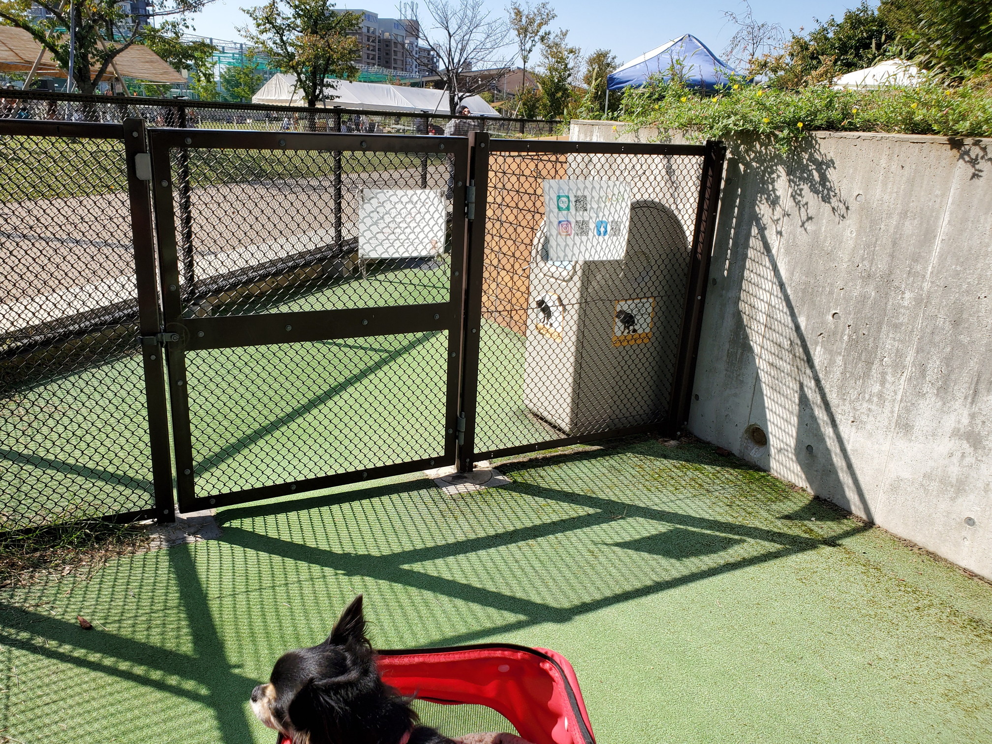 GRASS DOG&CAT(グラスドッグ&キャット) てんしば店