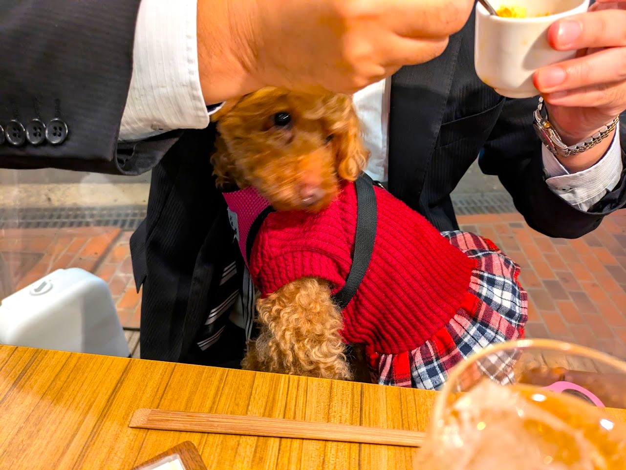 居酒屋