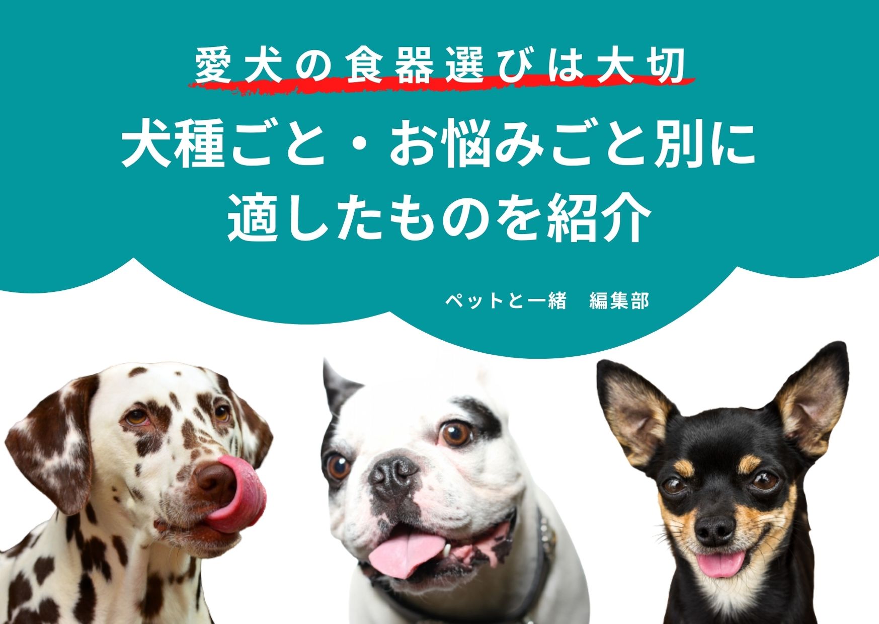 愛犬の食器選びは大切!犬種ごと・お悩みごと別に適したものを紹介【ペットと一緒編集部】