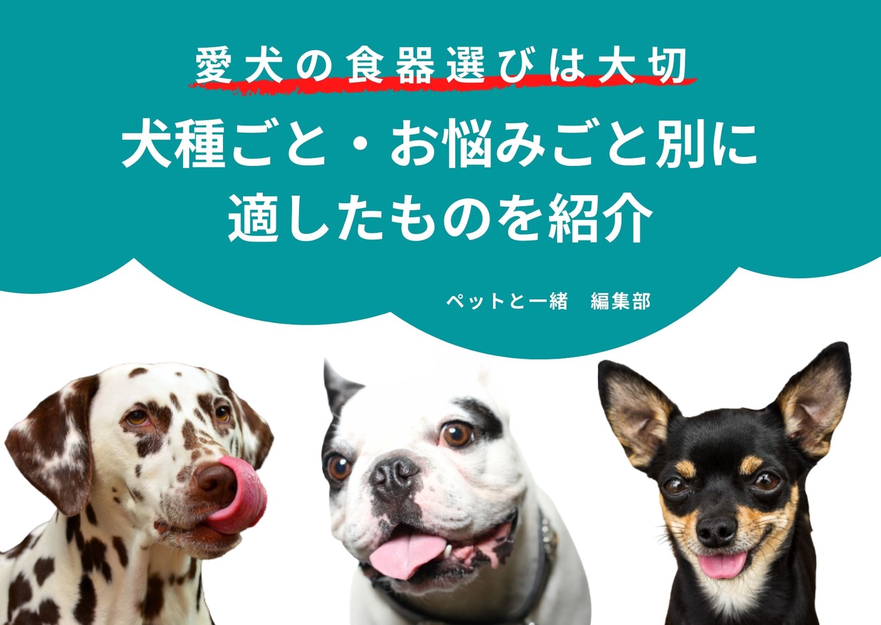 愛犬の食器選びは大切！犬種ごと・お悩みごと別に適したものを紹介【ペットと一緒編集部】