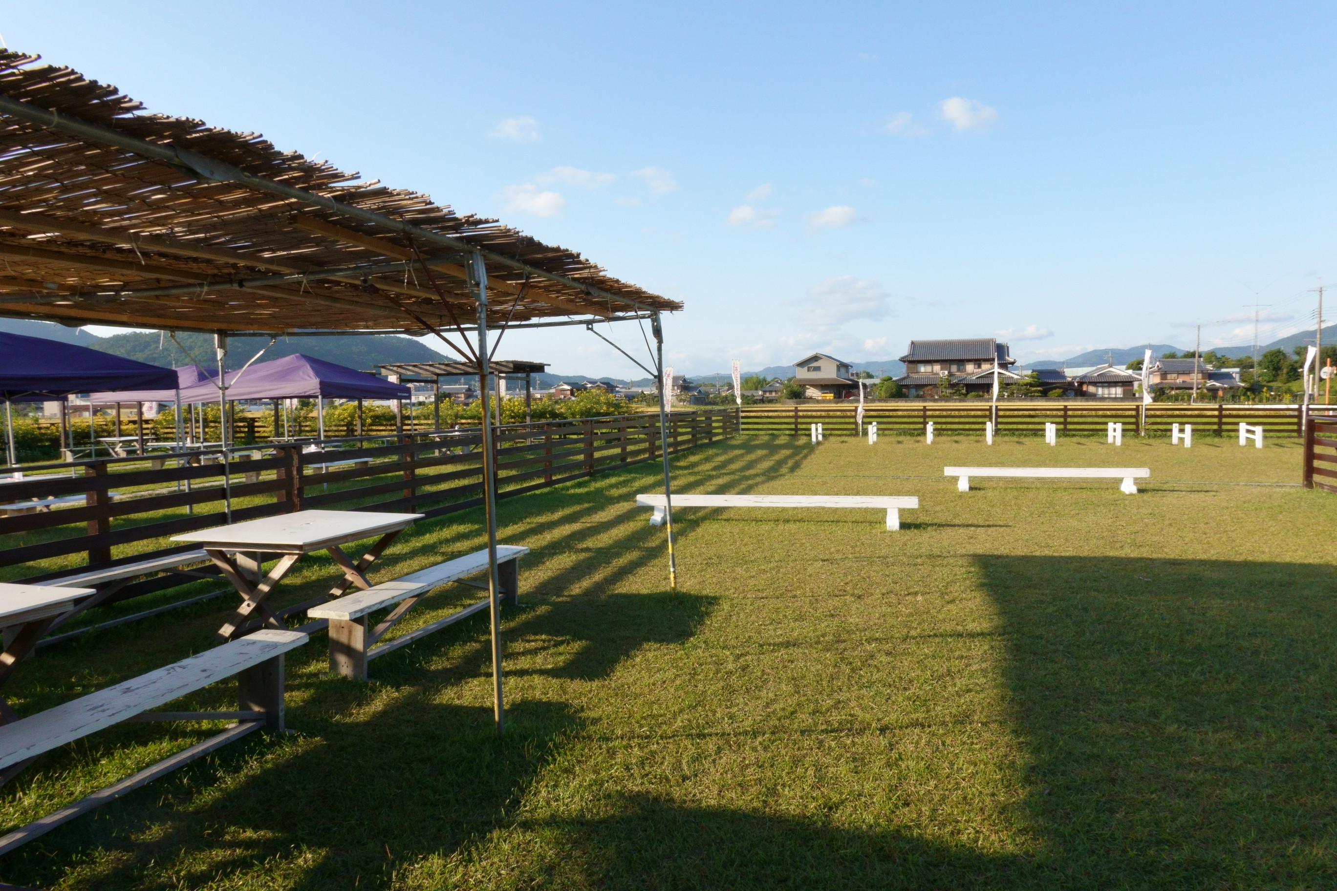 京都丹後／亀岡の夢コスモス園