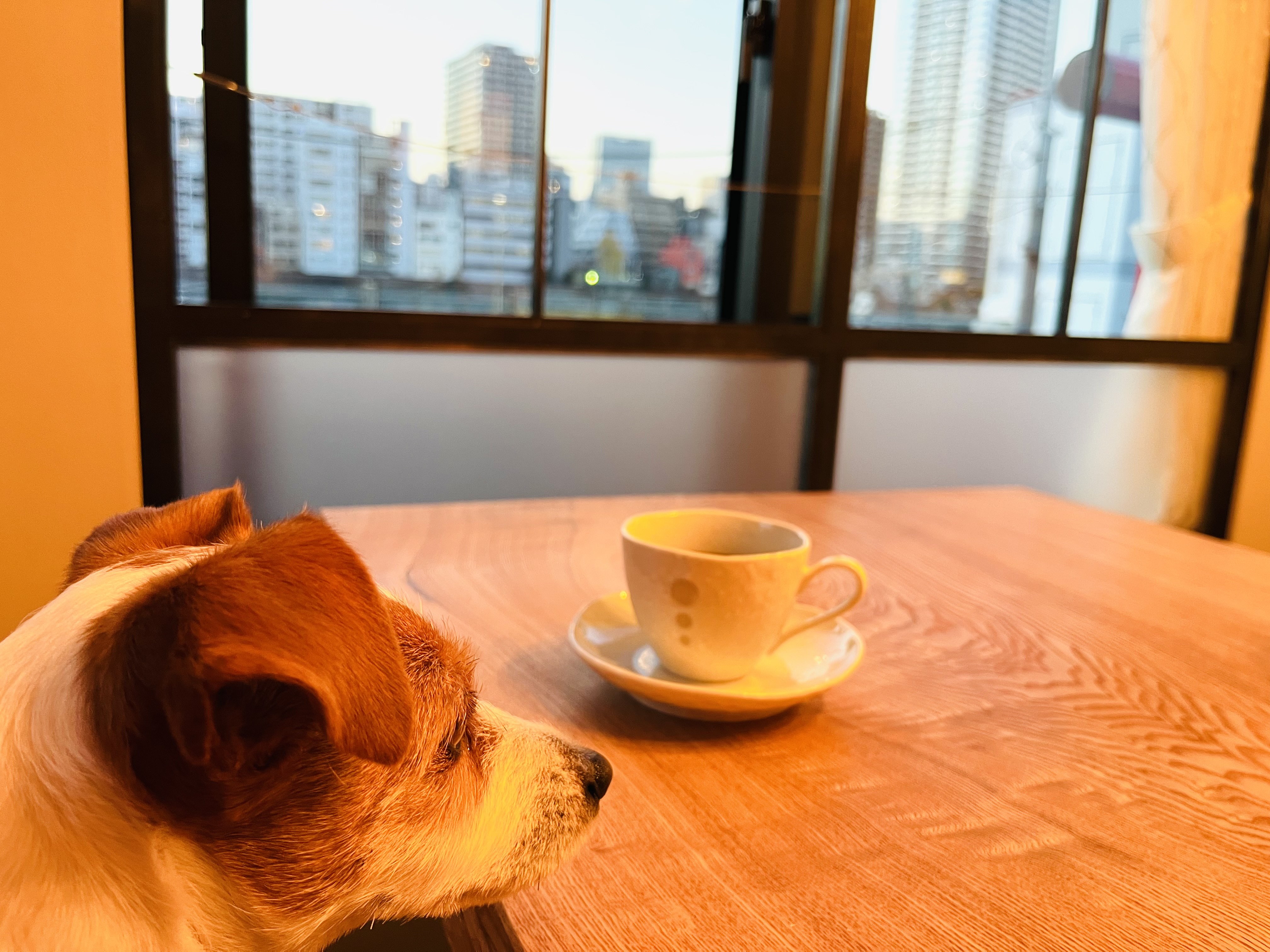 【月島】「美食・腸食 brillant（ブリオン）」