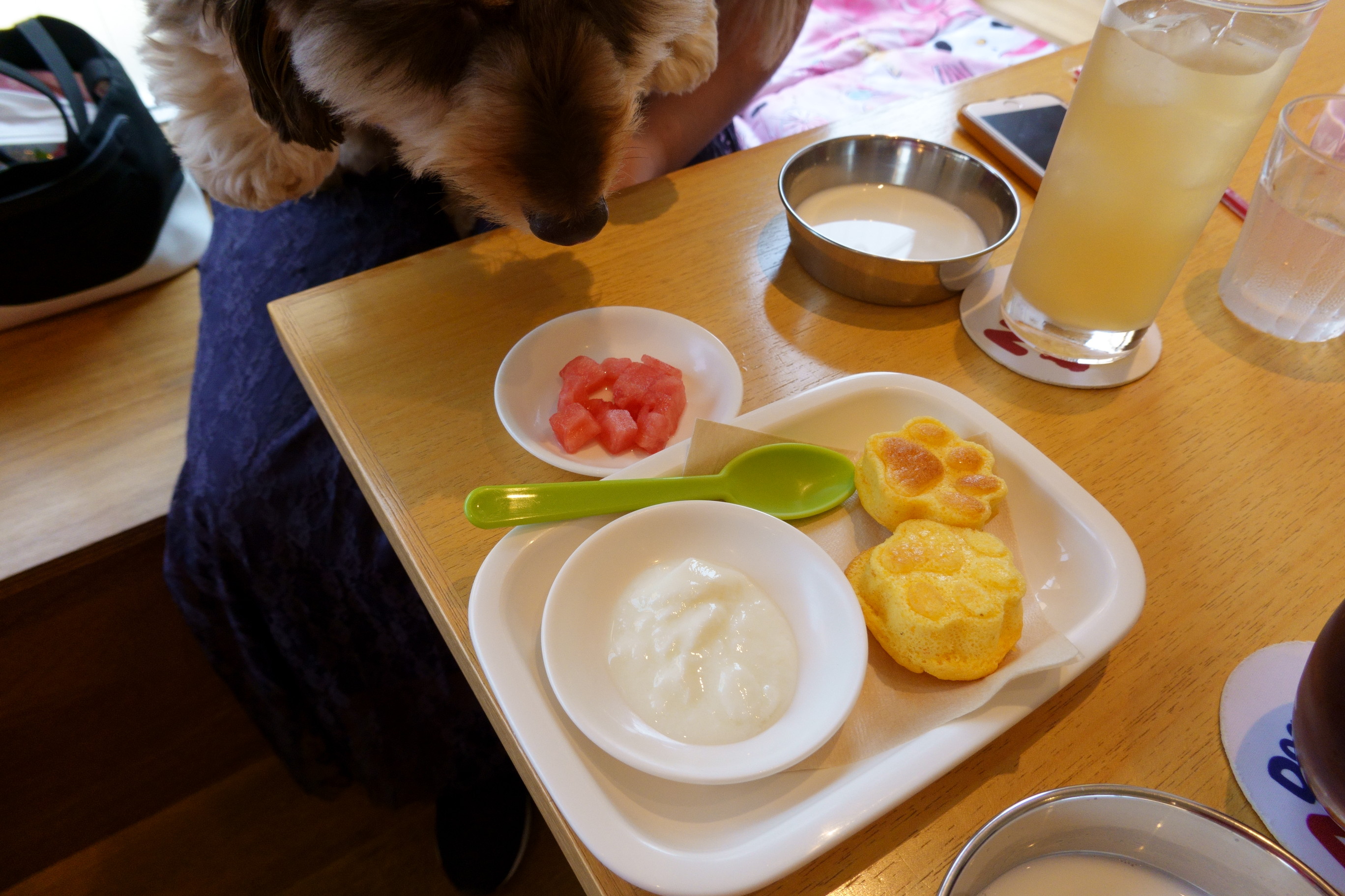 DogCafe ALAN(ドッグカフェ アラン)