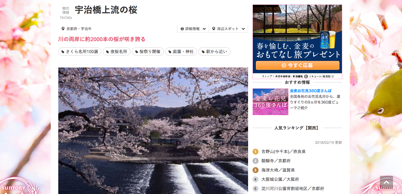 お花見
