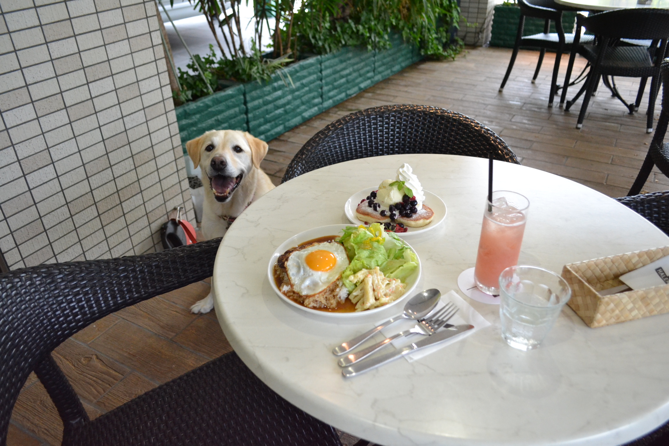 ハレマウマウカフェ