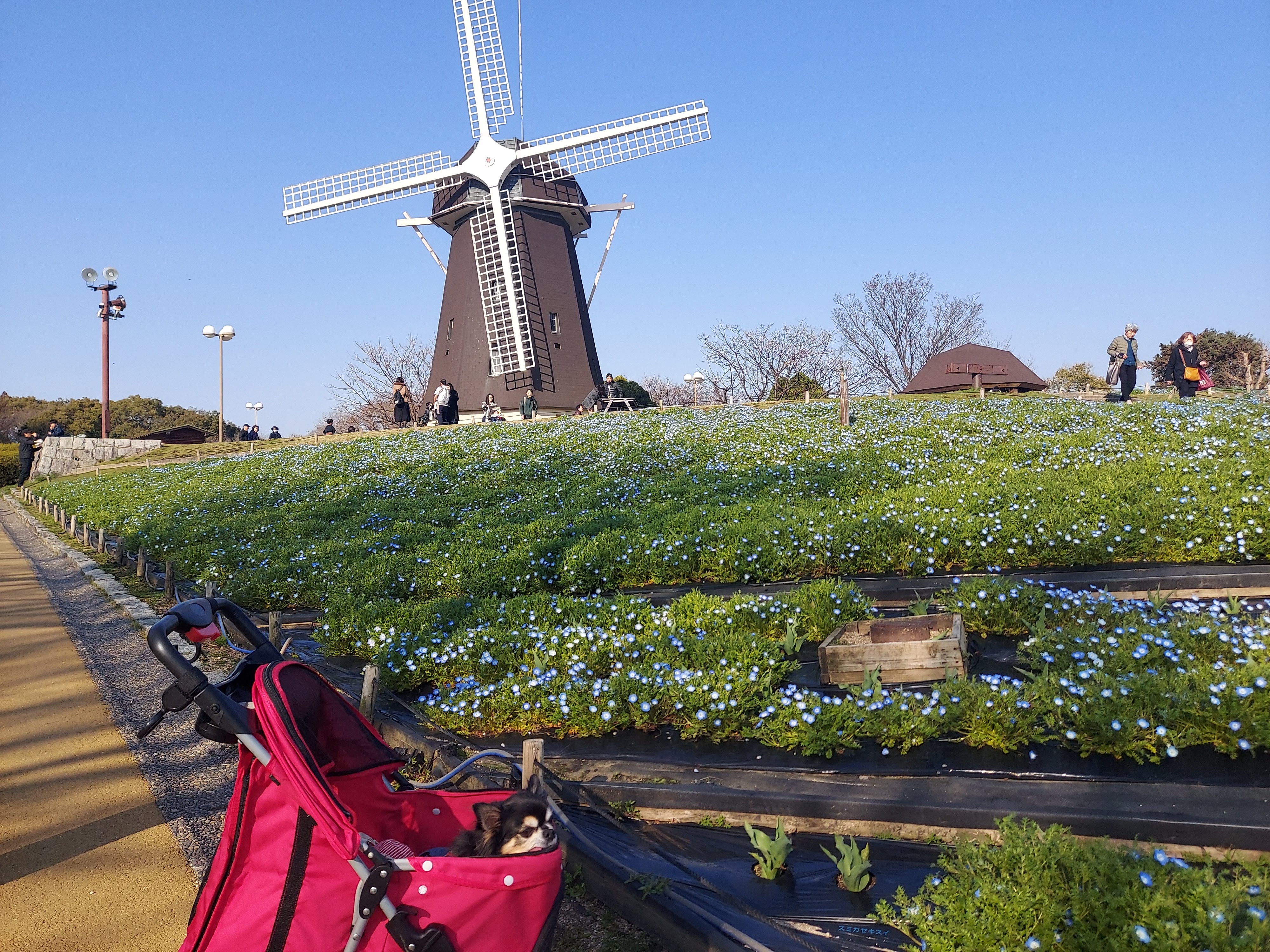 BOTANICAL HOUSE（ボタニカルハウス）