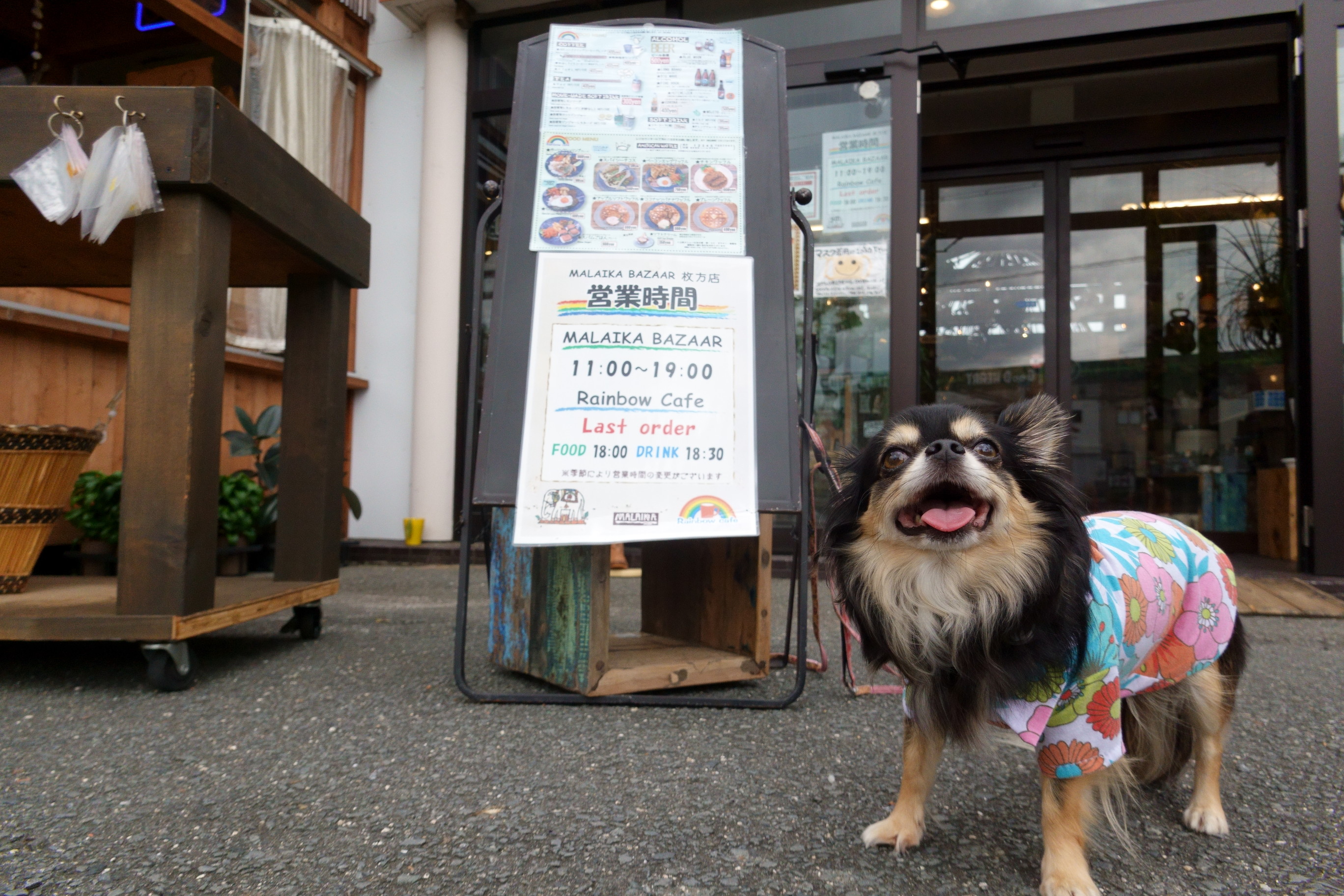 Rainbow Cafe(レインボーカフェ)