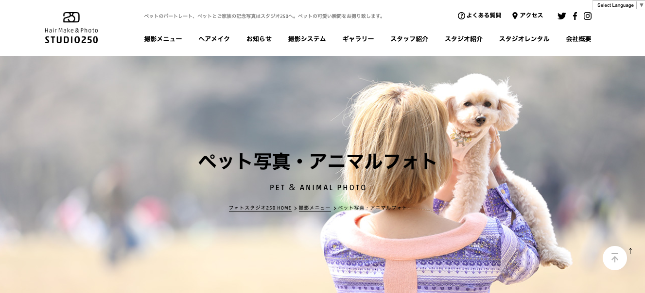 【東京都】「ペットを撮影できる写真館」東京23区内＆出張