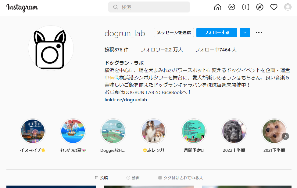 イヌヨイチ 犬夜市 & NIGHT DOG RUN in RED BRICK PARK