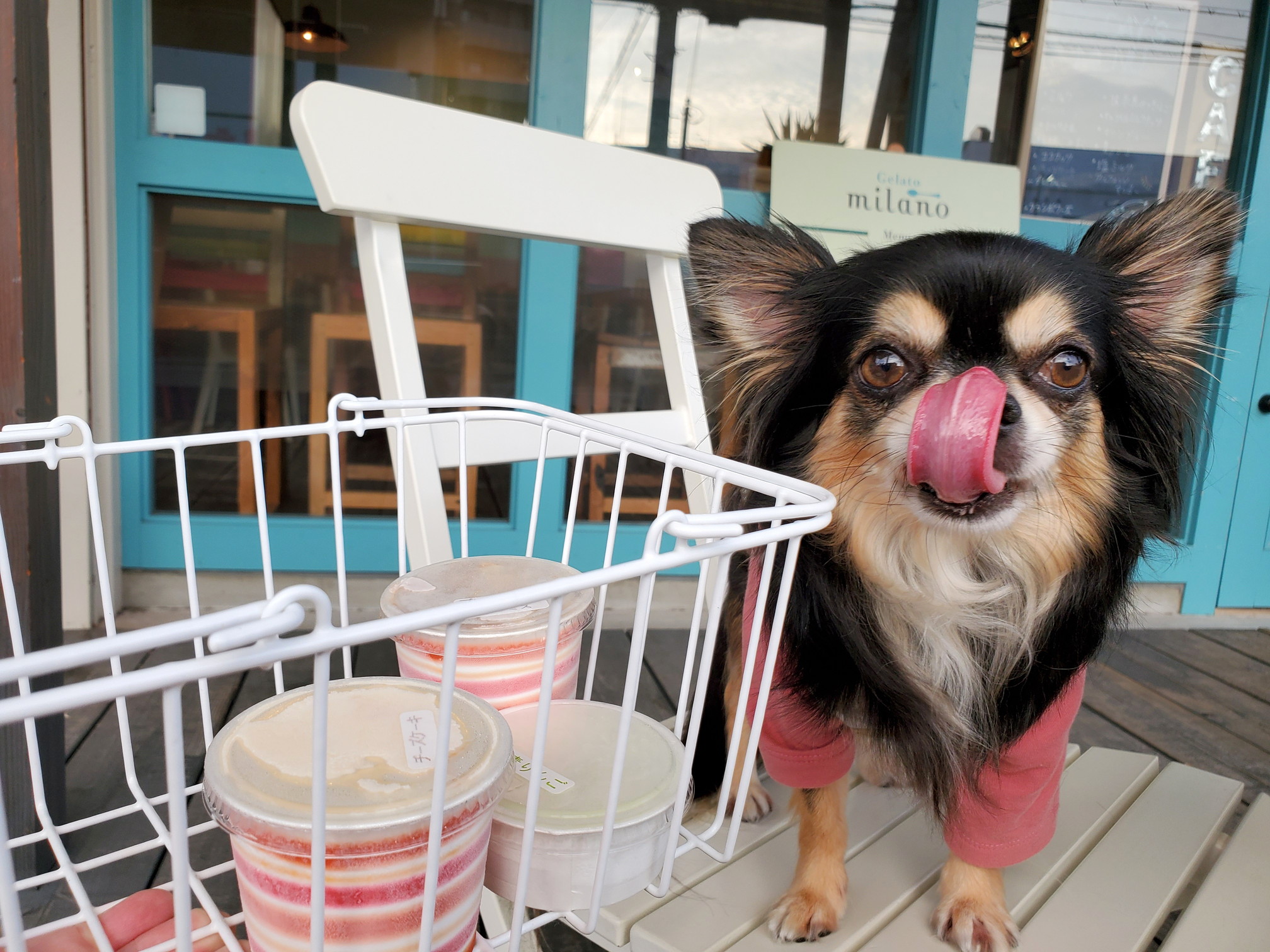 Gelato Mirano(ジェラート・ミラノ)