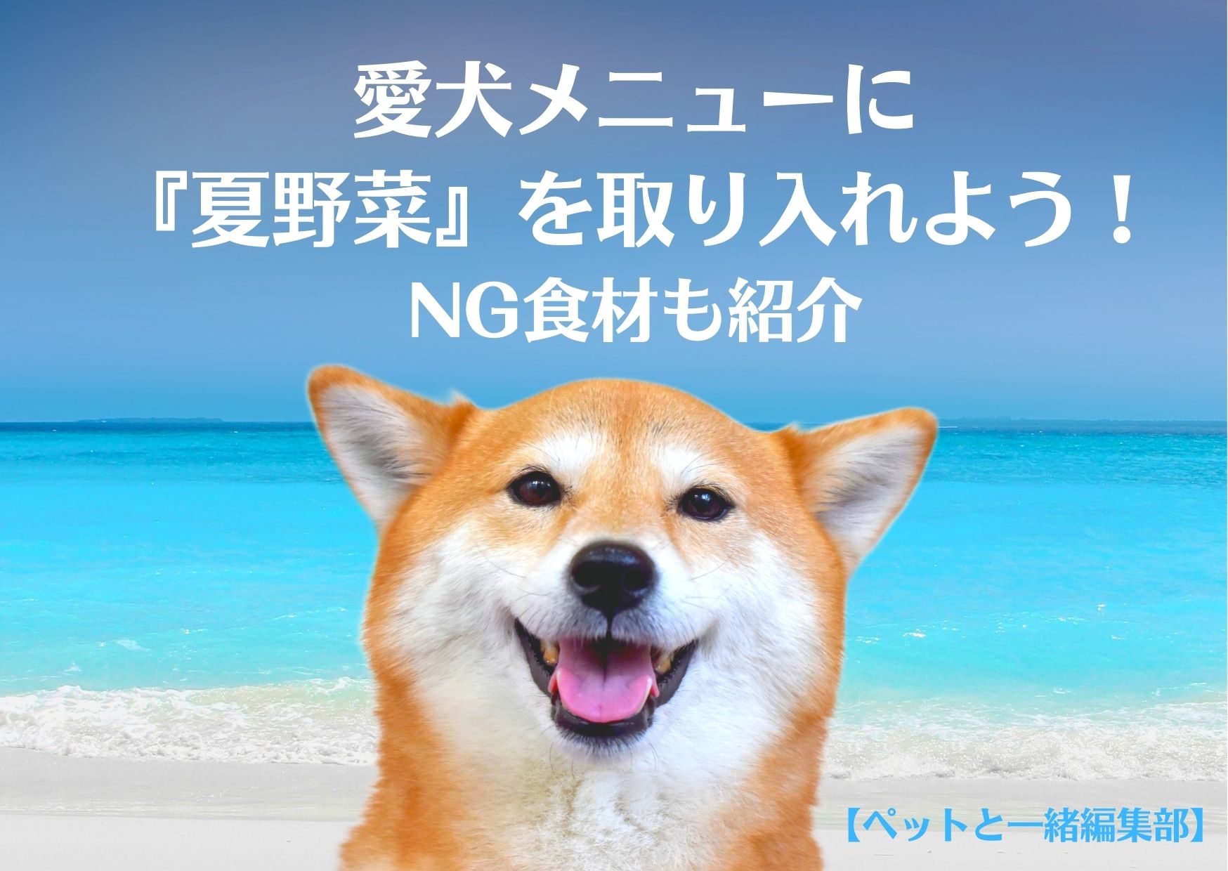 愛犬メニューに夏野菜を取り入れよう！NG食材も紹介