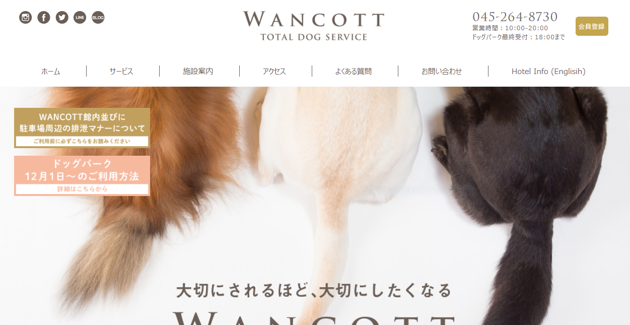 WANCOTTアジリティ開放DAY