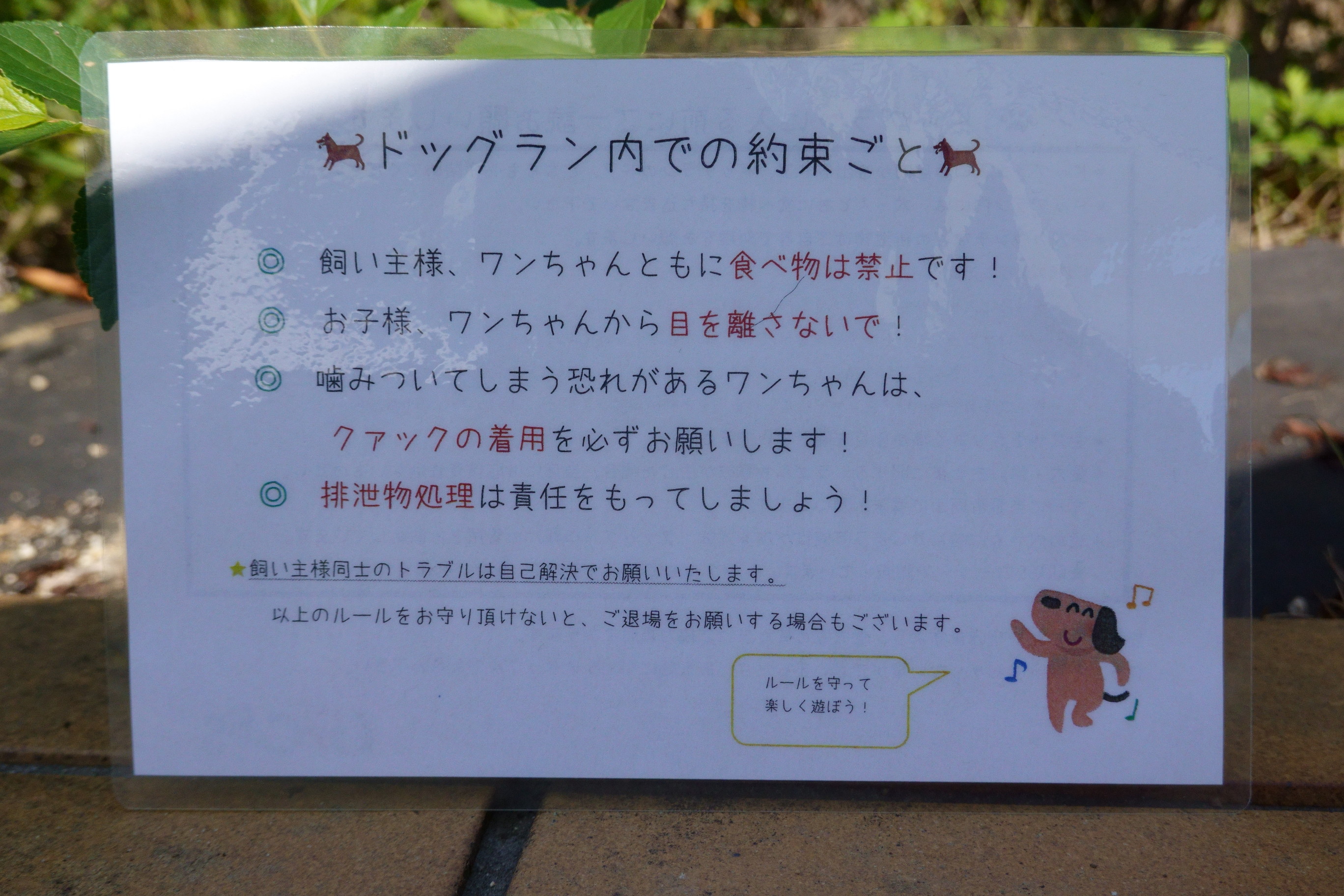 GRASS DOG&CAT(グラスドッグ&キャット) てんしば店