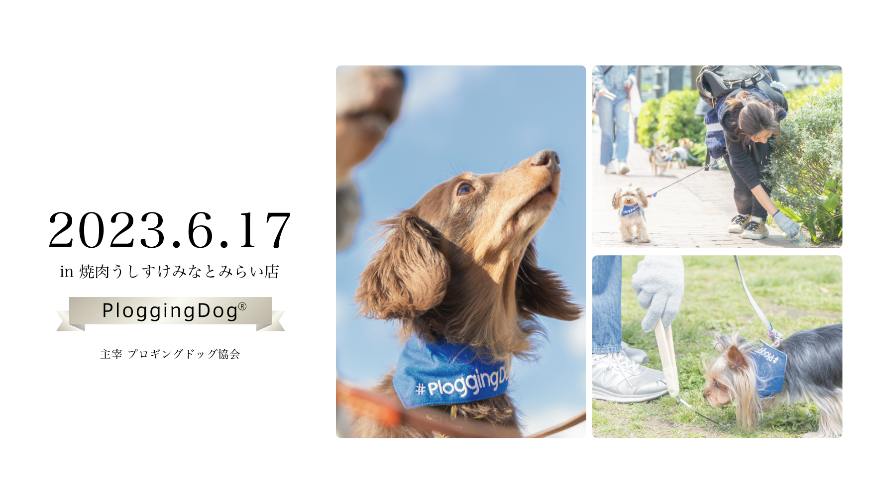 第3回MARINE&WALK YOKOHAMA×PloggingDog(R)」イベント