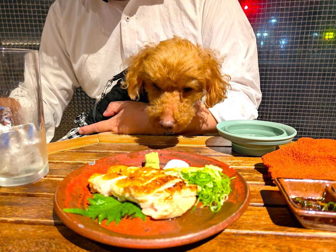 炭焼TOKI