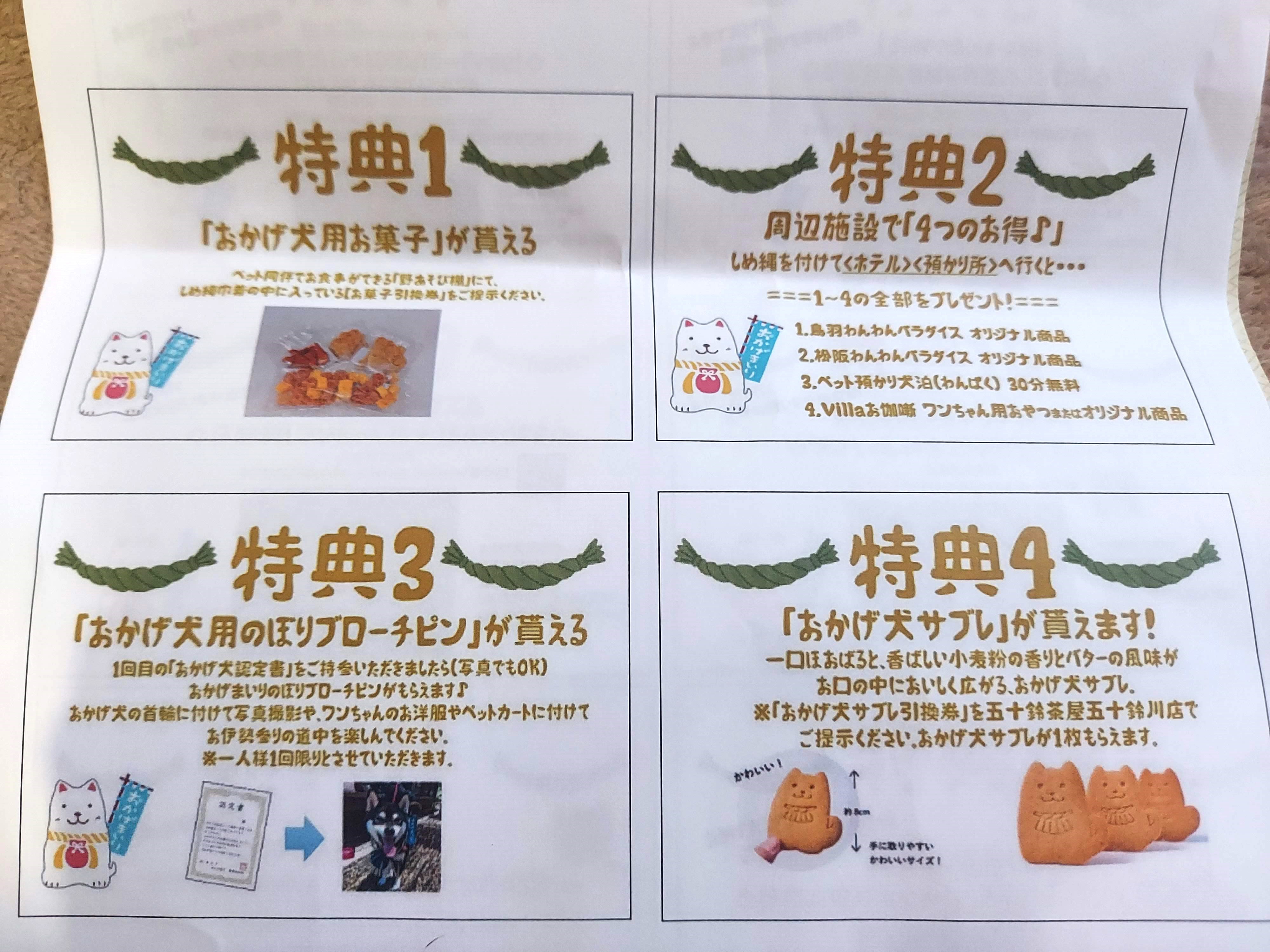 愛犬参加型 おかげ犬体験