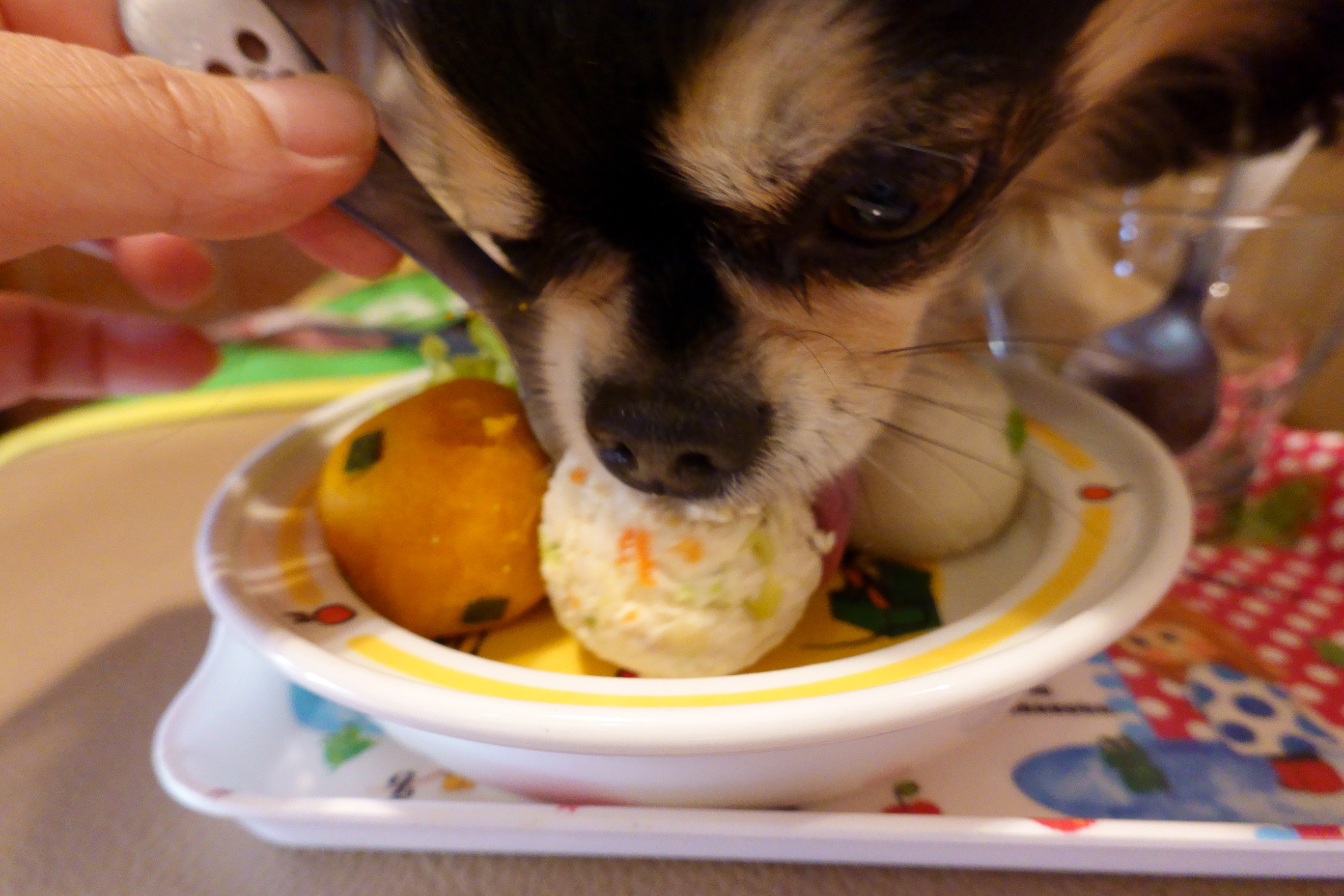 Dogcafe&salon