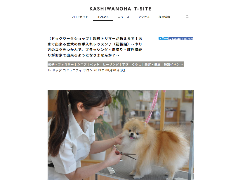 お家で出来る愛犬のお手入れレッスン（初級編）