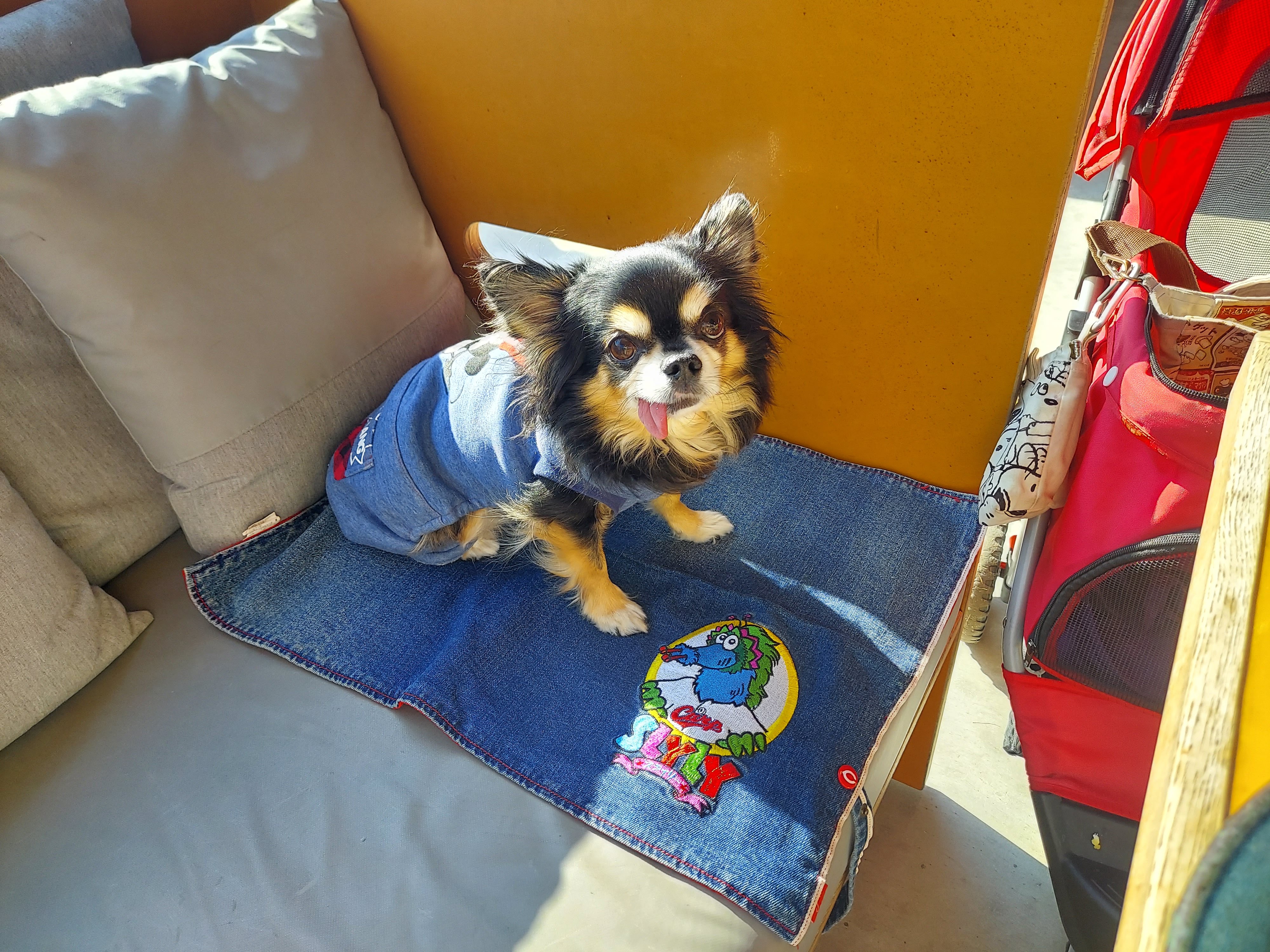 BOTANICAL HOUSE（ボタニカルハウス）