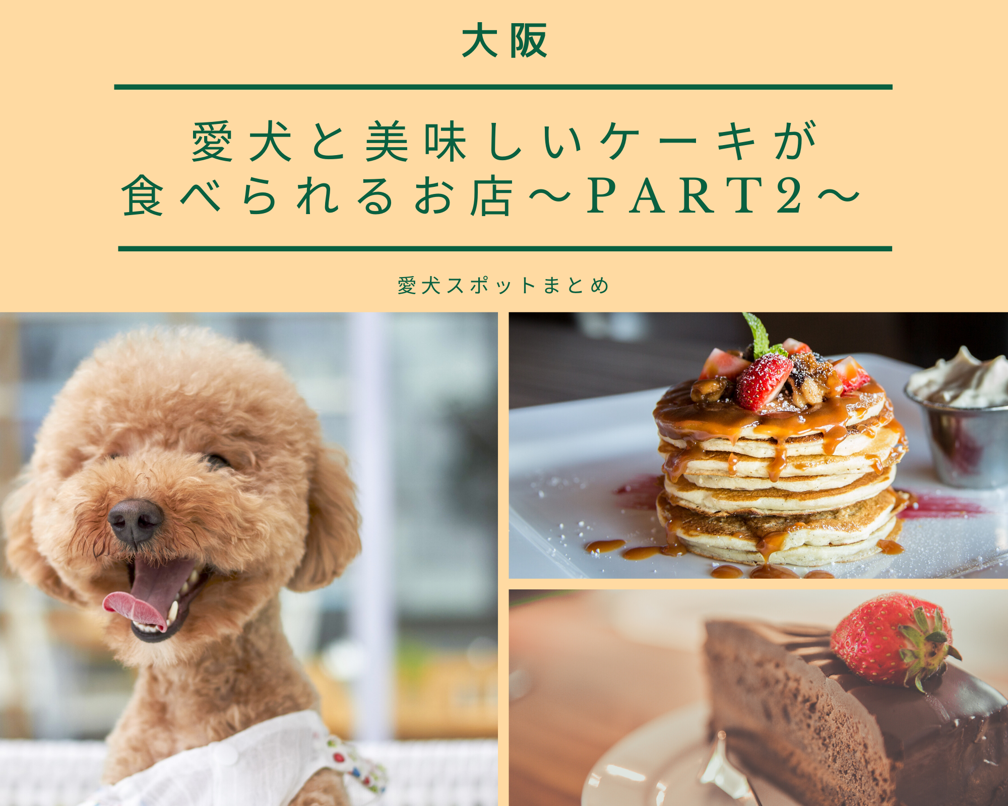 【大阪】愛犬と美味しいケーキが食べられるお店～Part2～