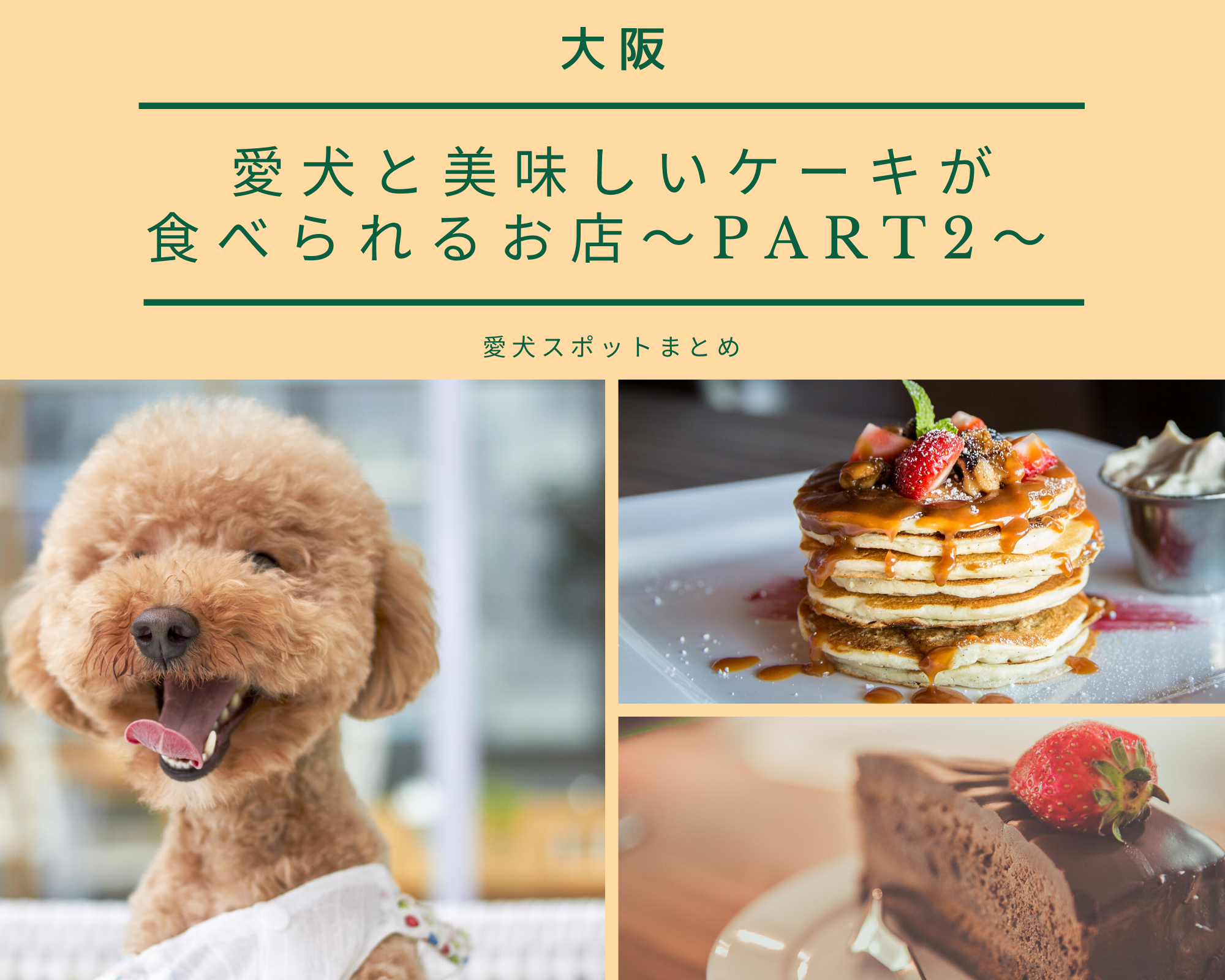 大阪 愛犬と美味しいケーキが食べられるお店 Part2 ペットと一緒