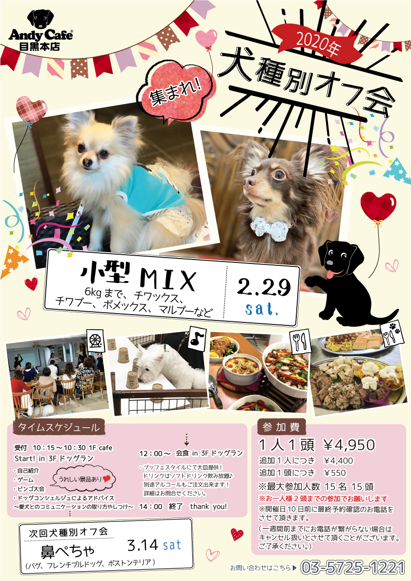 AndyCafe目黒本店2月犬種別オフ会小型MIX