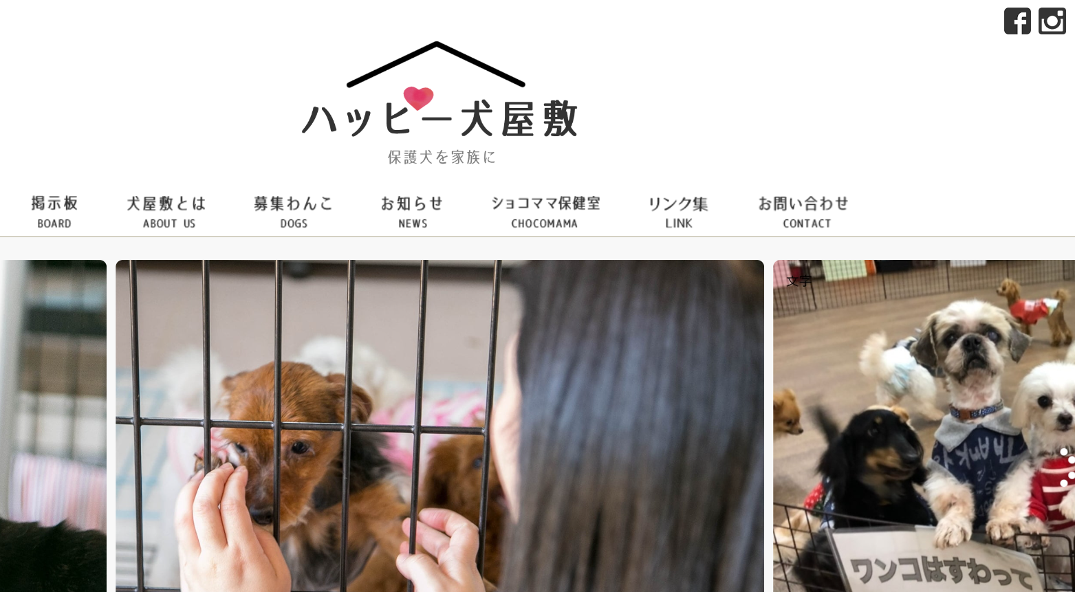 保護犬プチふれあい会INハッピー犬屋敷