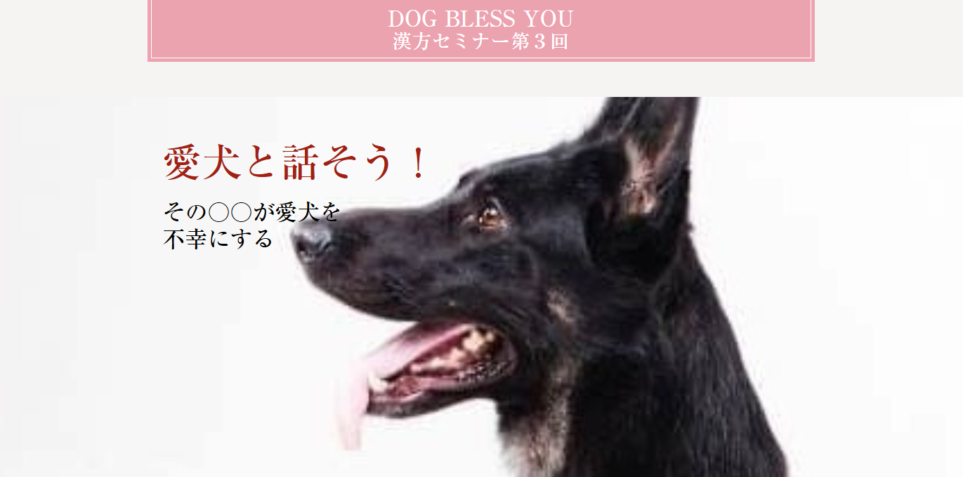 愛犬と話そう