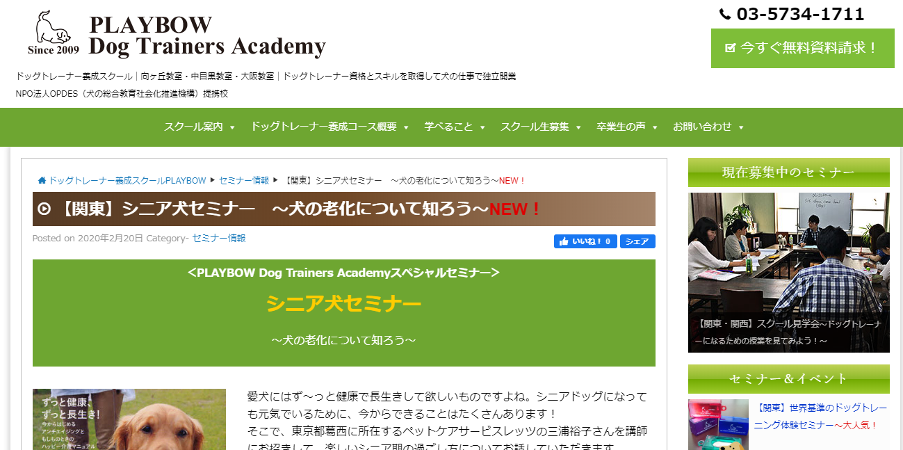 プレイボウドッグとレナーズアカデミー中目黒教室シニア犬セミナー