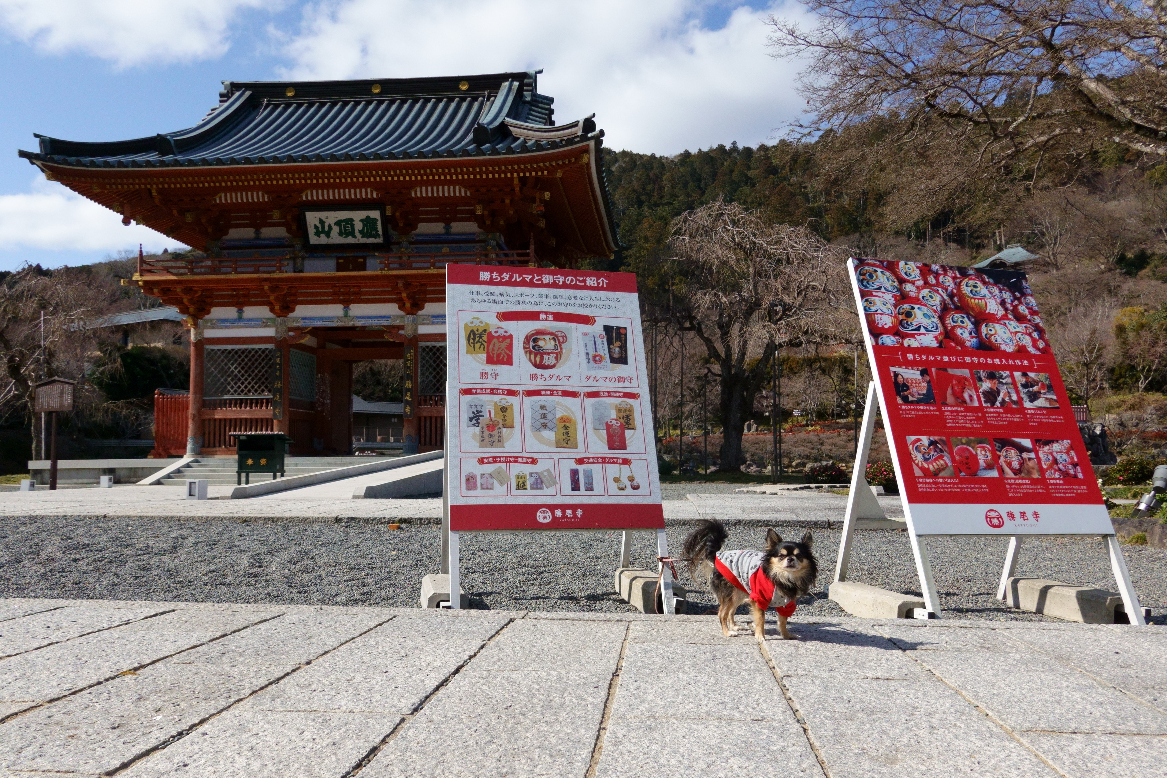 開運の寺 勝尾寺(かつおじ)