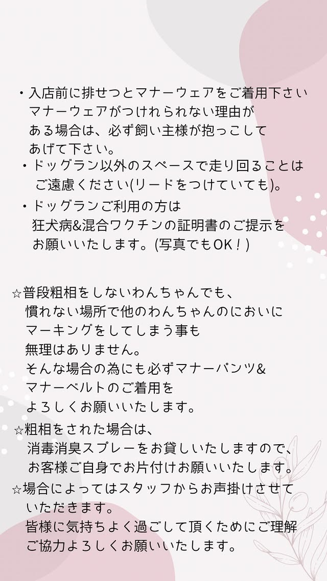 Cafe&Kitchen MoreYummy(カフェキッチン・モアヤミー)